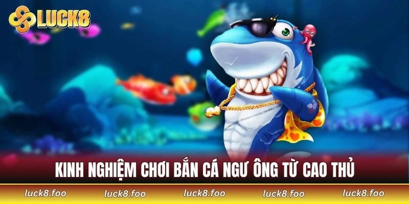 Kinh nghiệm chơi bắn cá Ngư Ông từ cao thủ